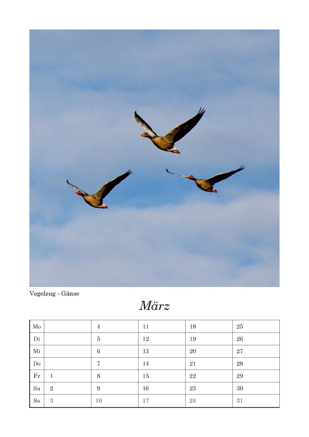 Beispielinhalt (Bild) Fischland-Darß-Zingst 2026