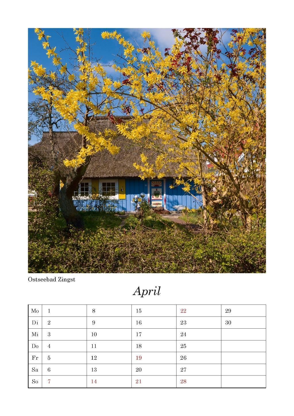 Beispielinhalt (Bild) Fischland-Darß-Zingst 2026