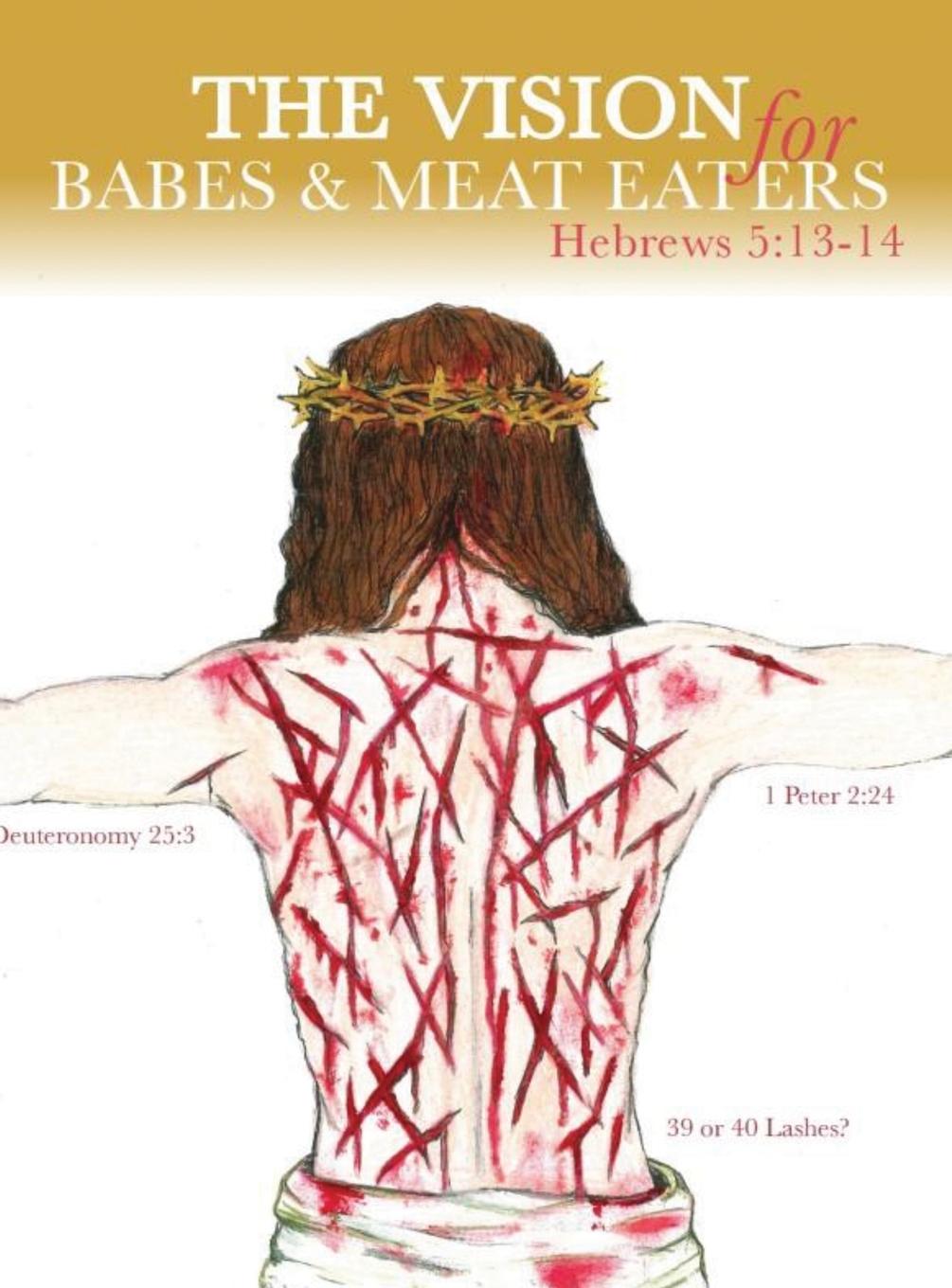 Vorderes Coverbild The Vision for Babes and Meat Eaters
