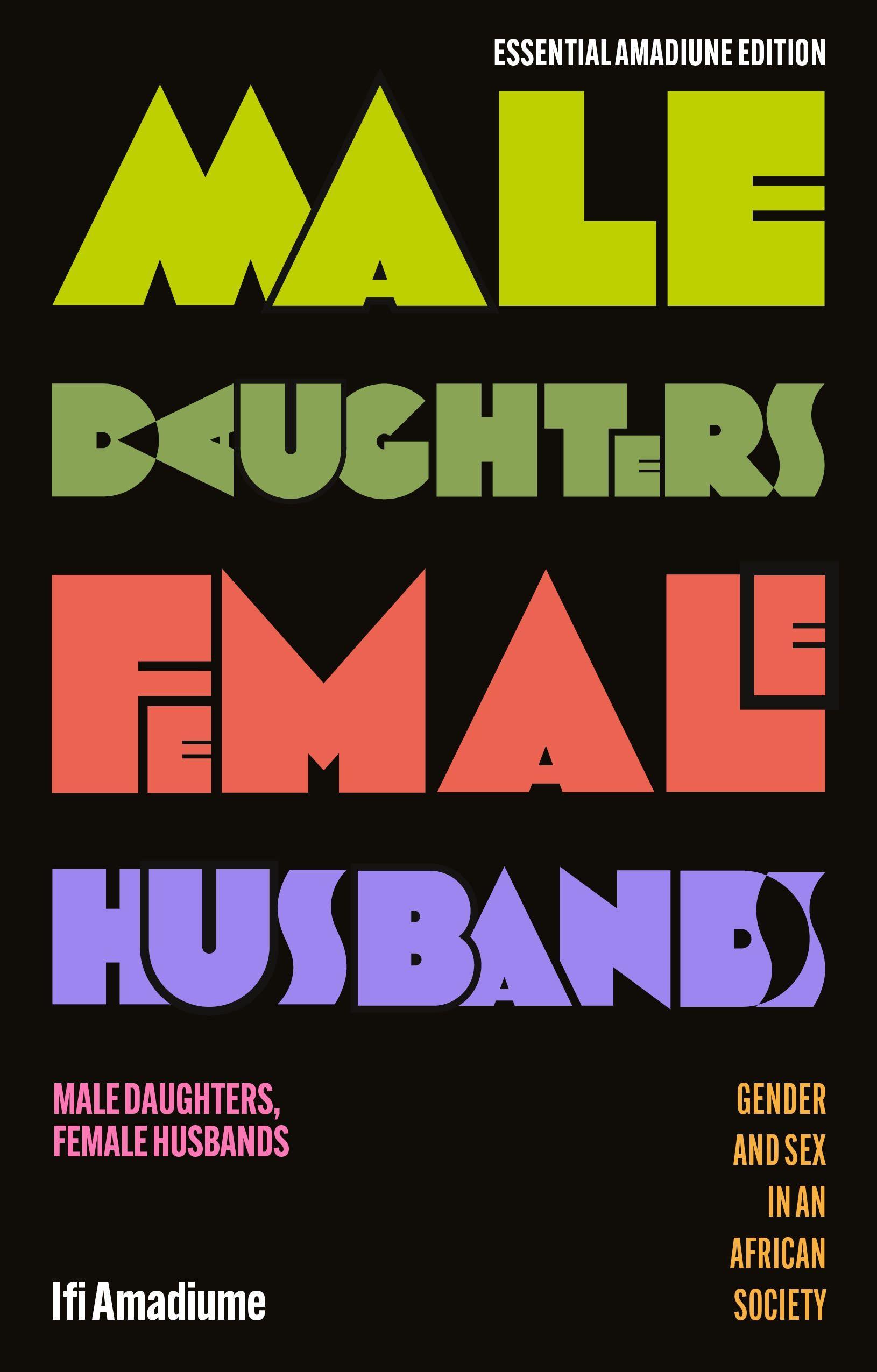Vorderes Coverbild Male Daughters, Female Husbands