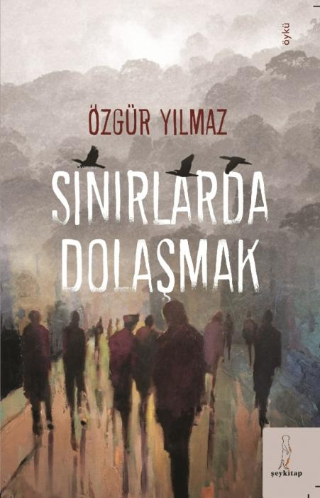 Vorderes Coverbild Sinirlarda Dolasmak