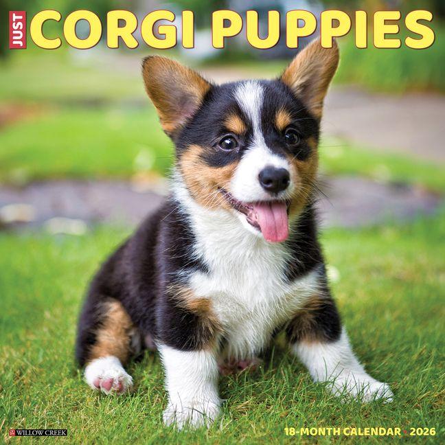 Vorderes Coverbild Corgi Puppies 2026 12 X 12 Wall Calendar