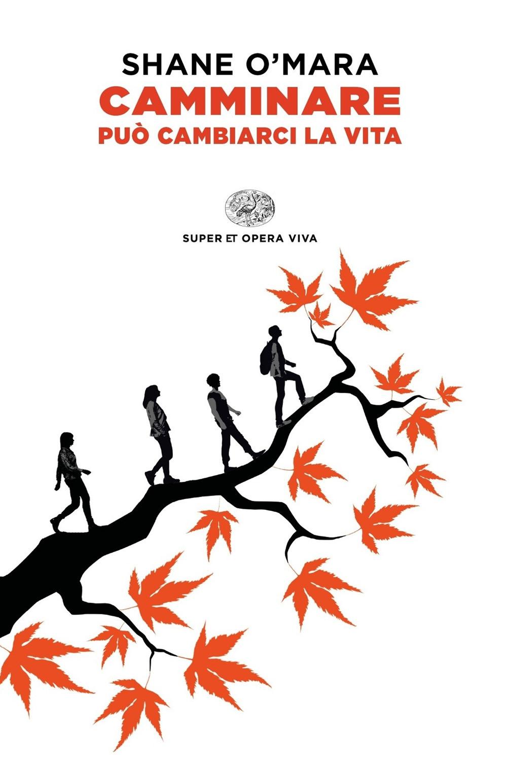 Vorderes Coverbild Camminare può cambiarci la vita