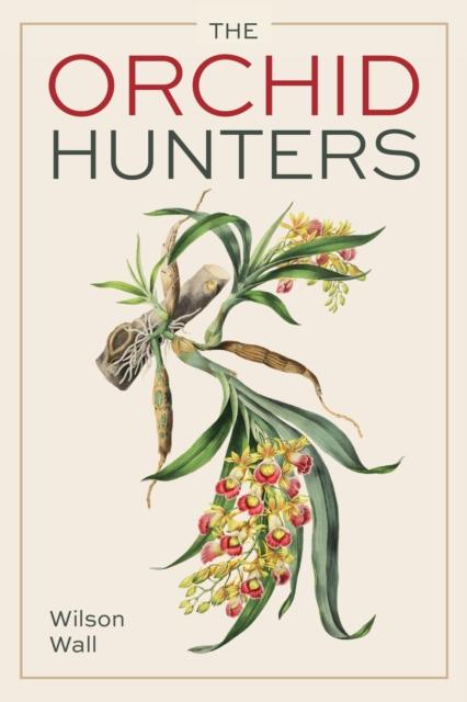 Vorderes Coverbild Orchid Hunters