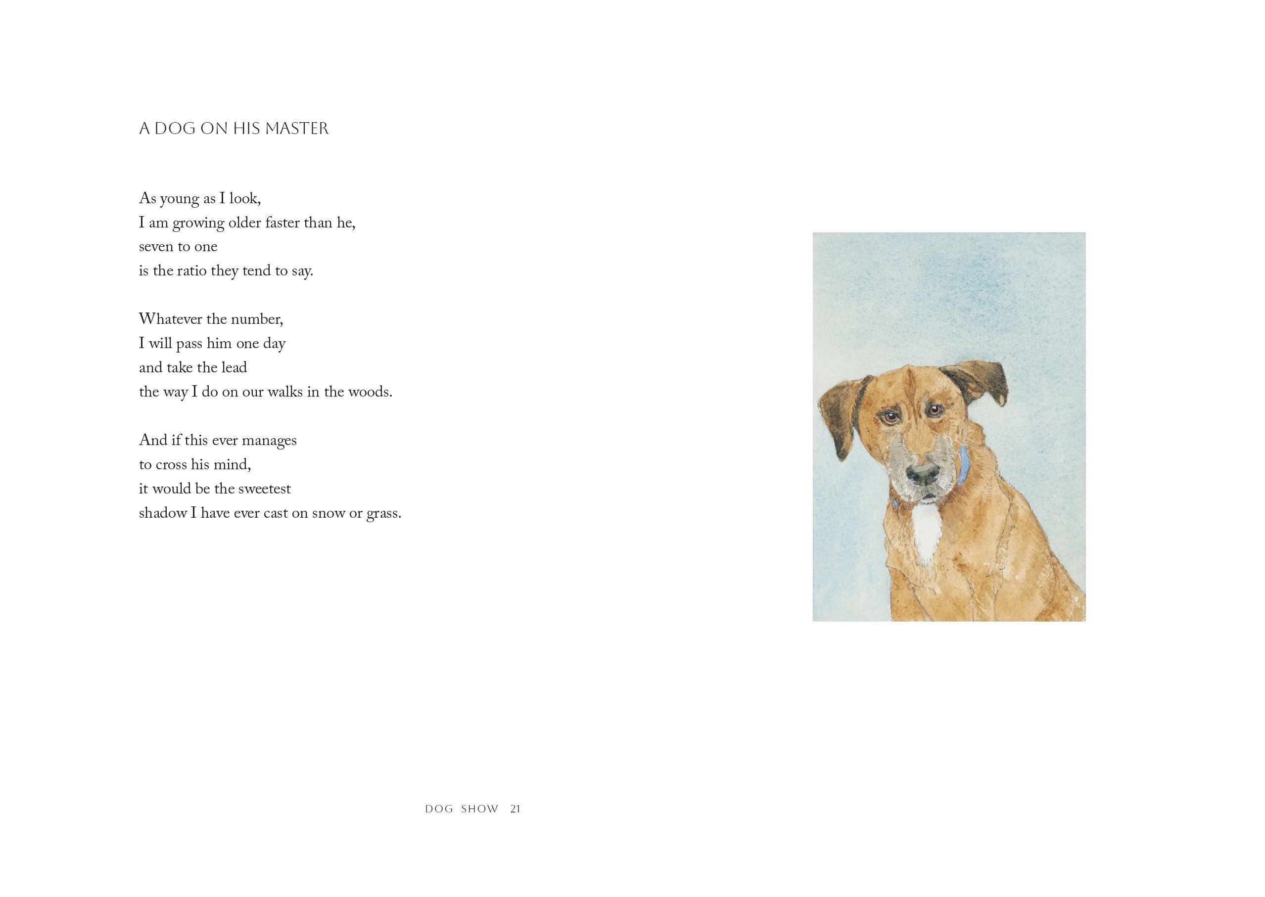 Beispielinhalt (Bild) Dog Show