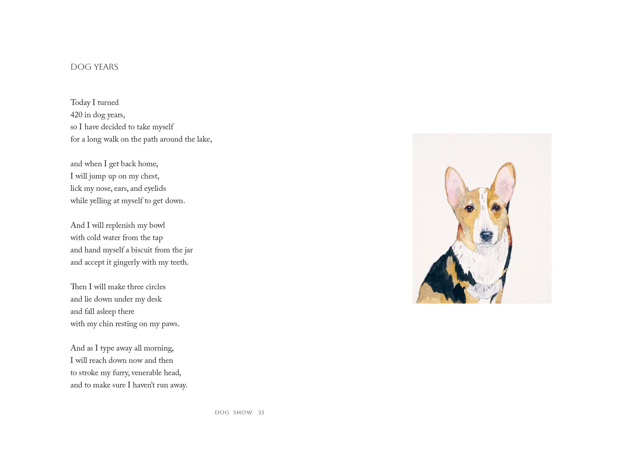 Beispielinhalt (Bild) Dog Show