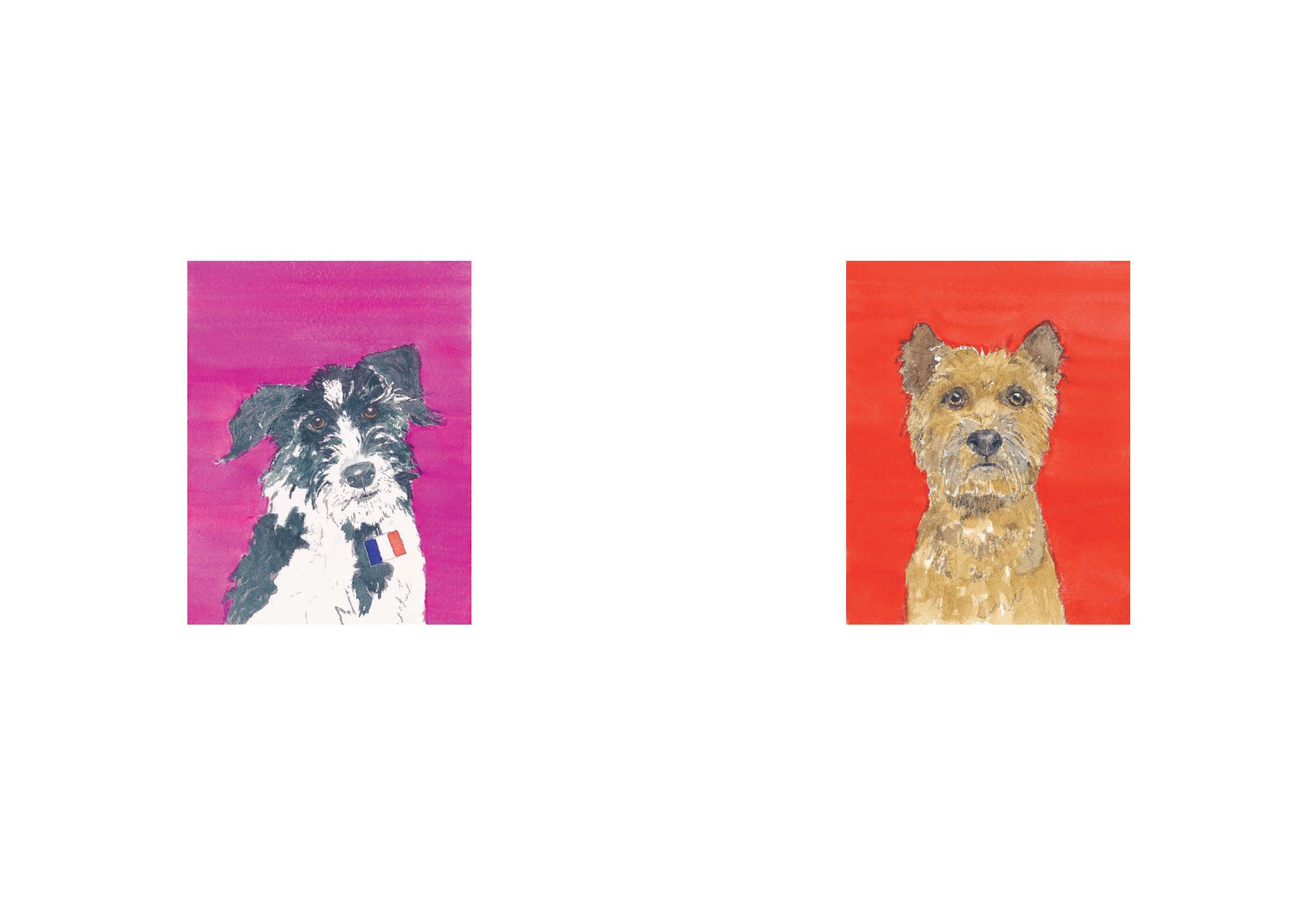 Beispielinhalt (Bild) Dog Show