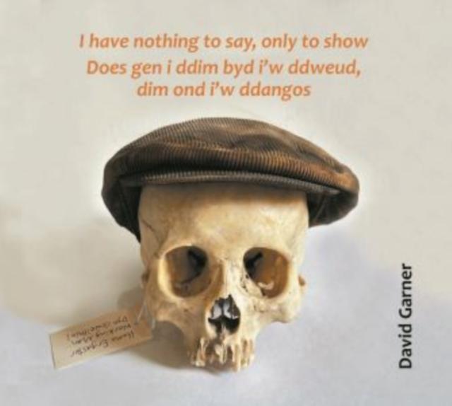 Vorderes Coverbild I have nothing to say, only to show / Does gen i ddim byd i'w ddweud, dim ond i'w ddangos