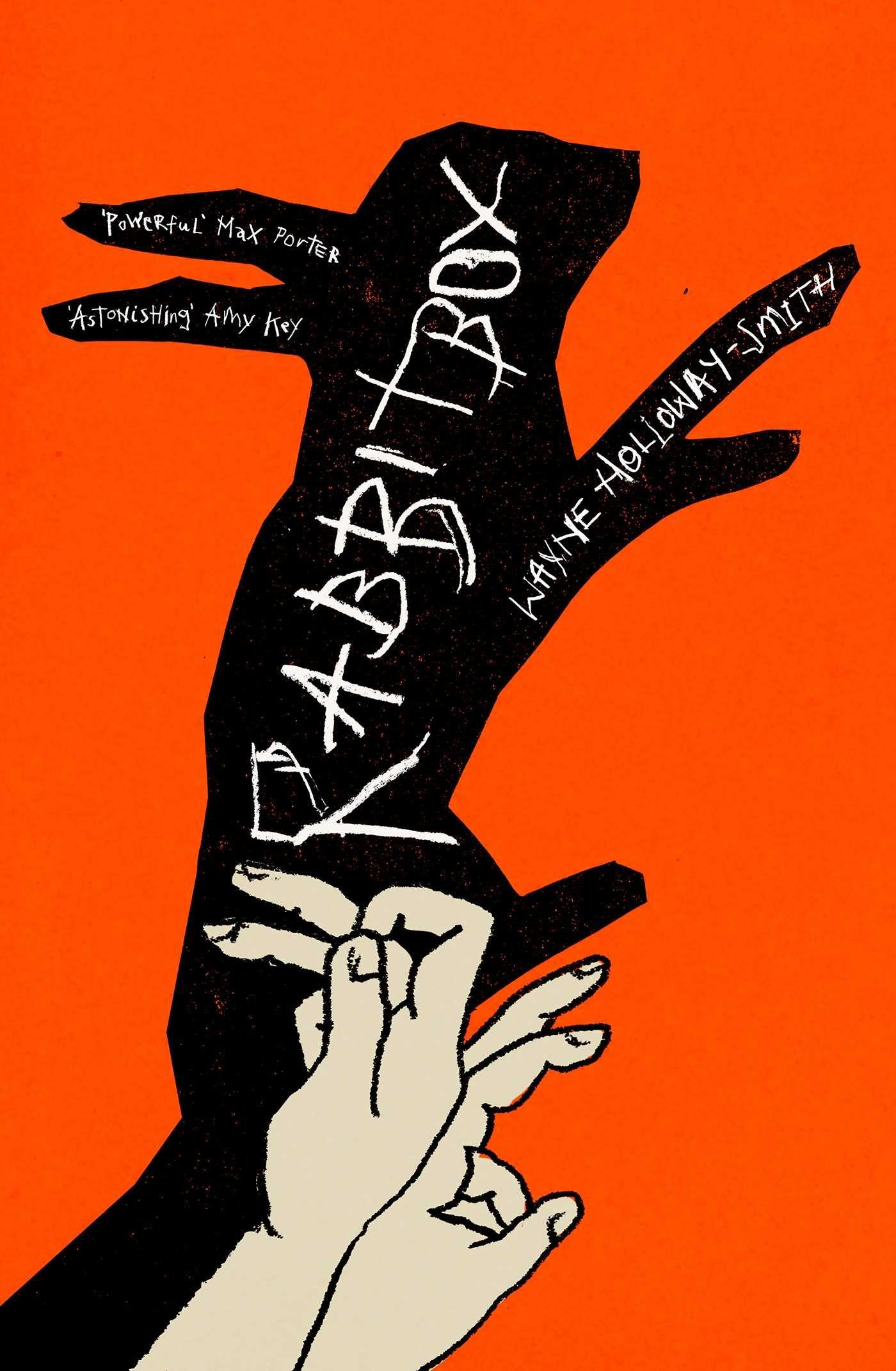 Vorderes Coverbild RABBITBOX