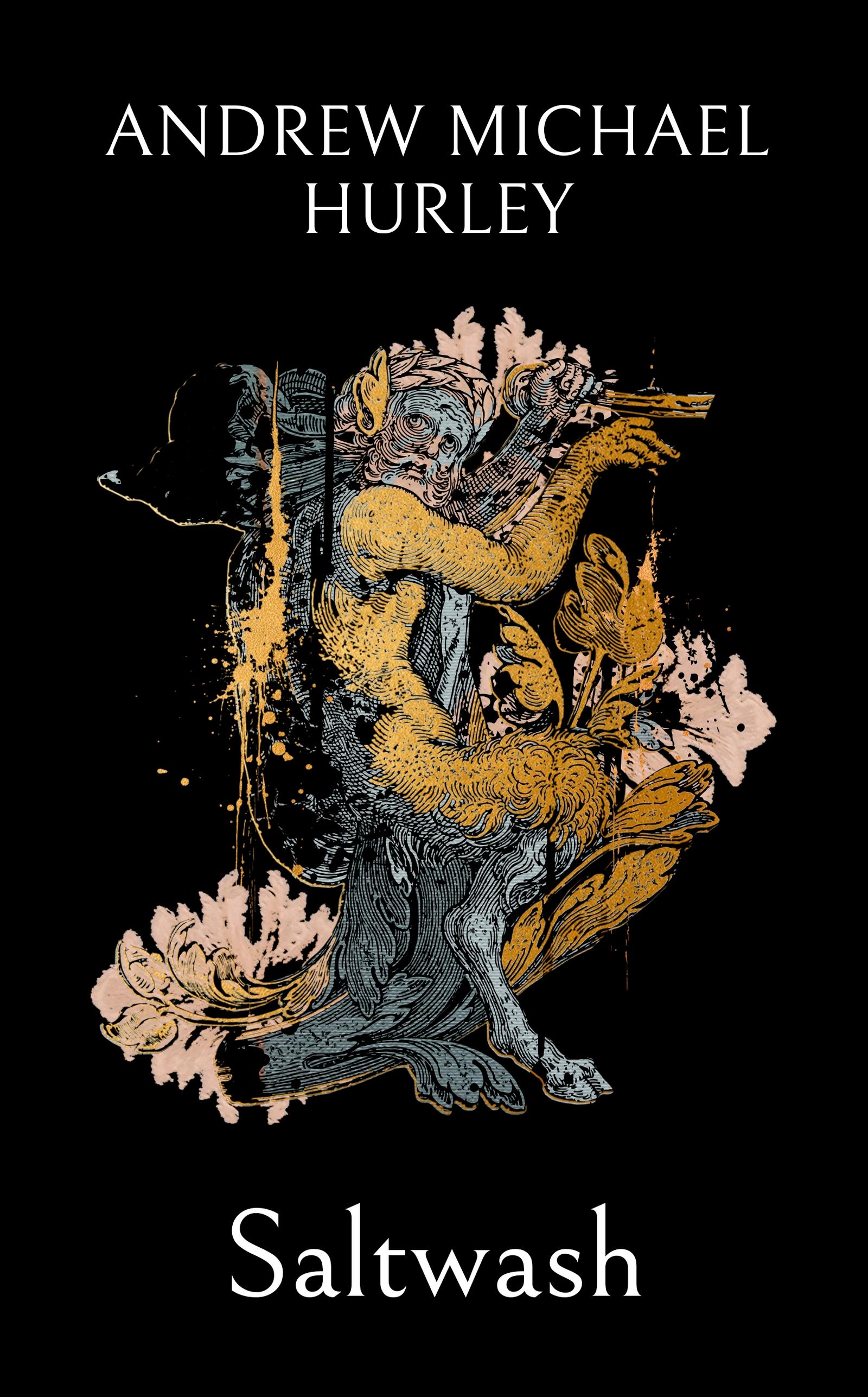 Vorderes Coverbild Saltwash