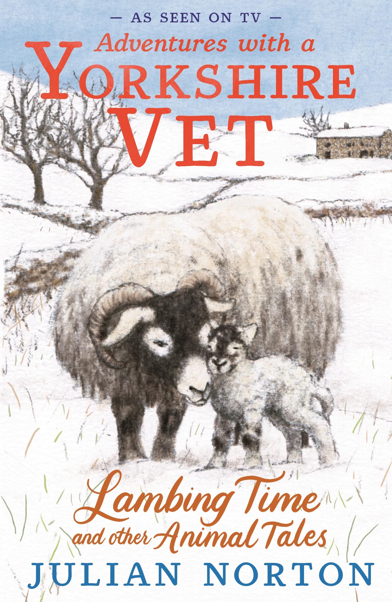 Vorderes Coverbild Adventures with a Yorkshire Vet: Lambing Time and Other Animal Tales