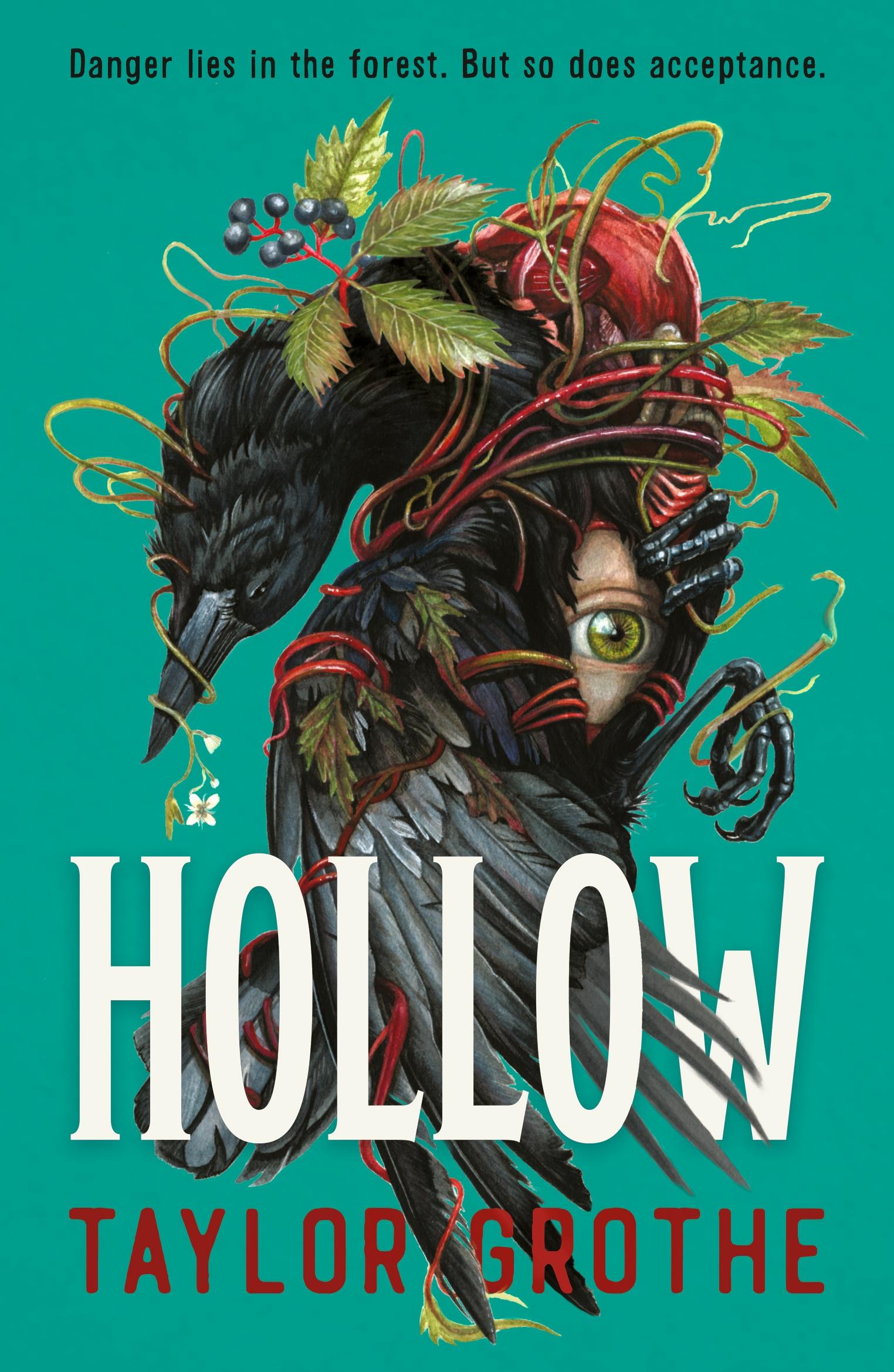 Vorderes Coverbild Hollow