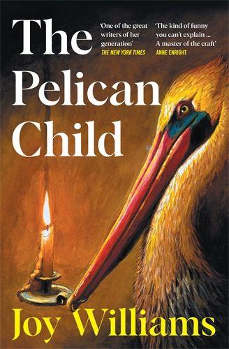 Vorderes Coverbild The Pelican Child