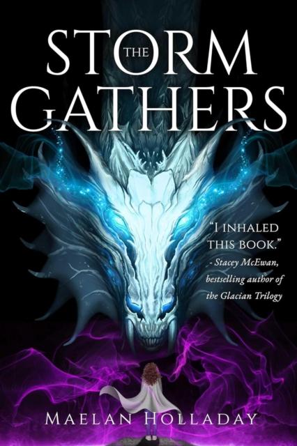 Vorderes Coverbild The Storm Gathers