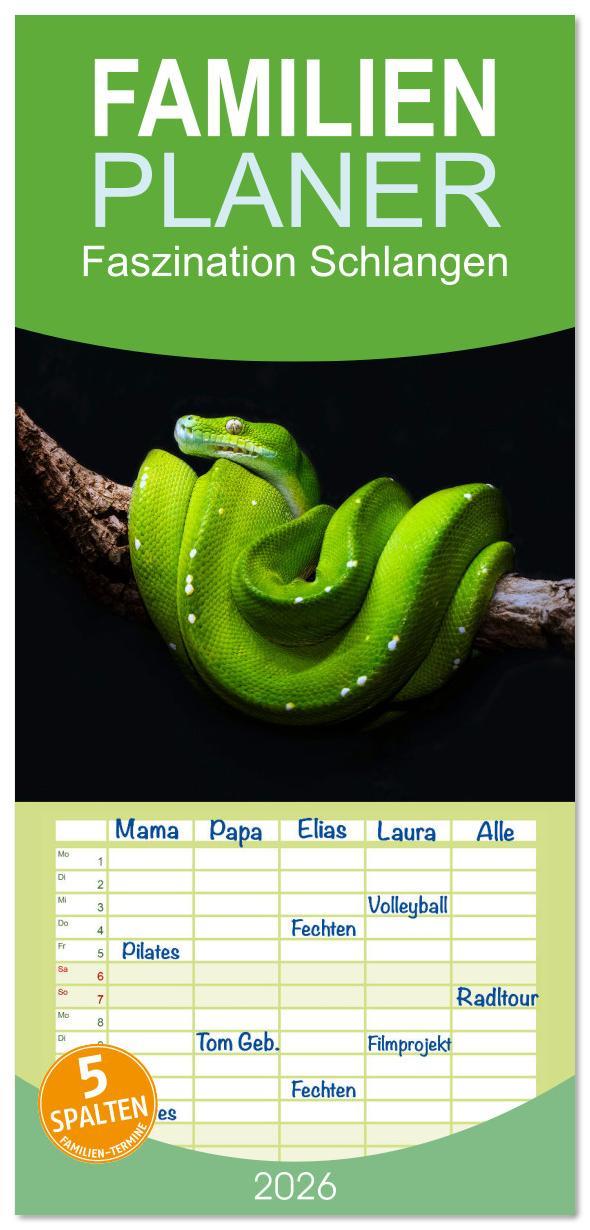 Vorderes Coverbild Familienplaner 2026 - Faszination Schlangen mit 5 Spalten (Wandkalender, 21 x 45 cm) CALVENDO