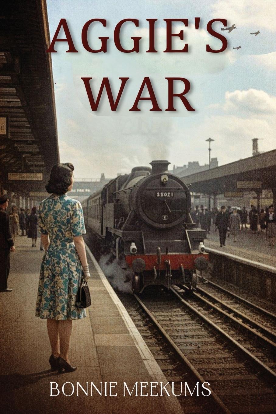 Vorderes Coverbild Aggie's War