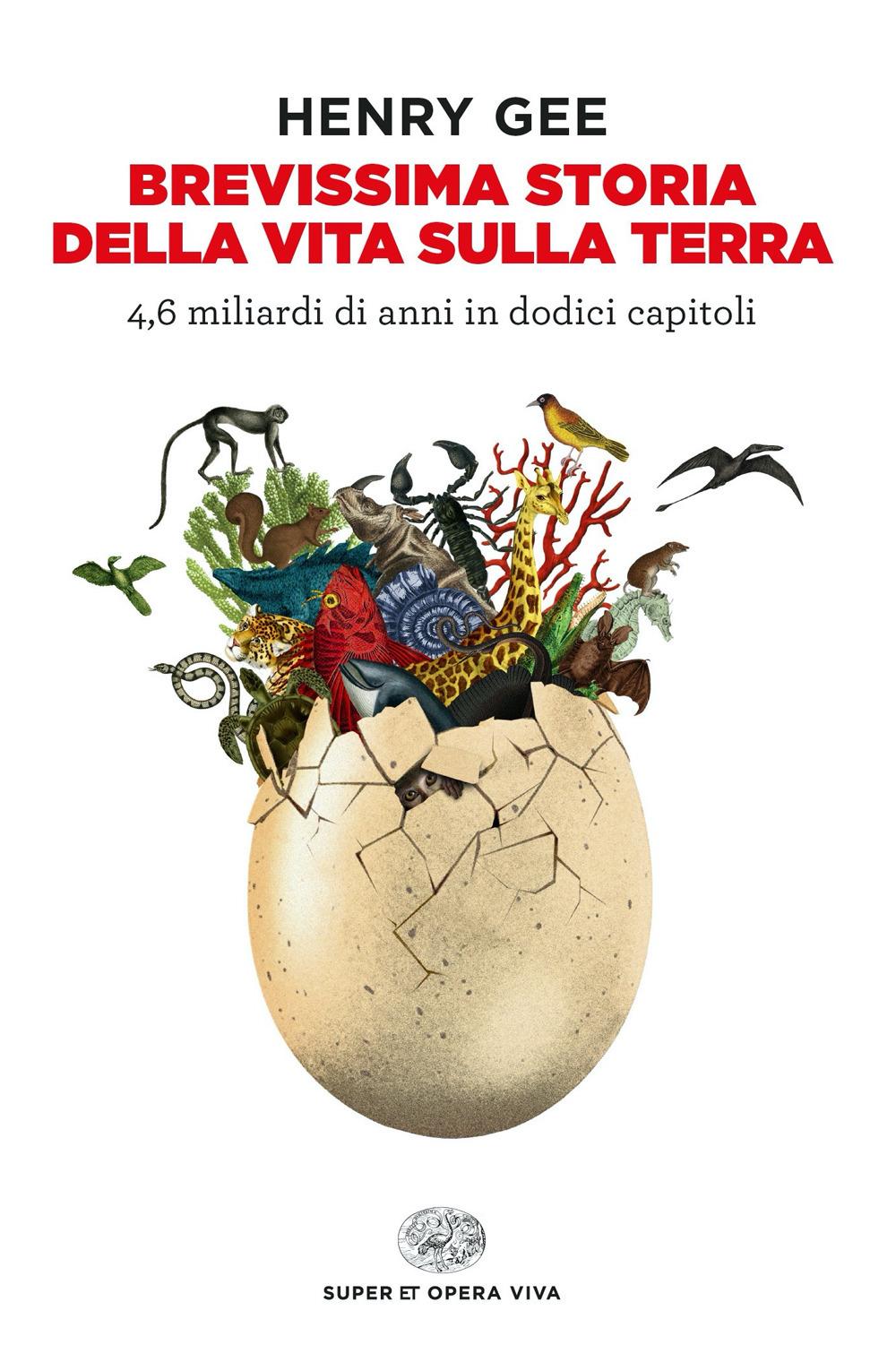 Vorderes Coverbild Brevissima storia della vita sulla Terra. 4,6 miliardi di anni in dodici capitoli