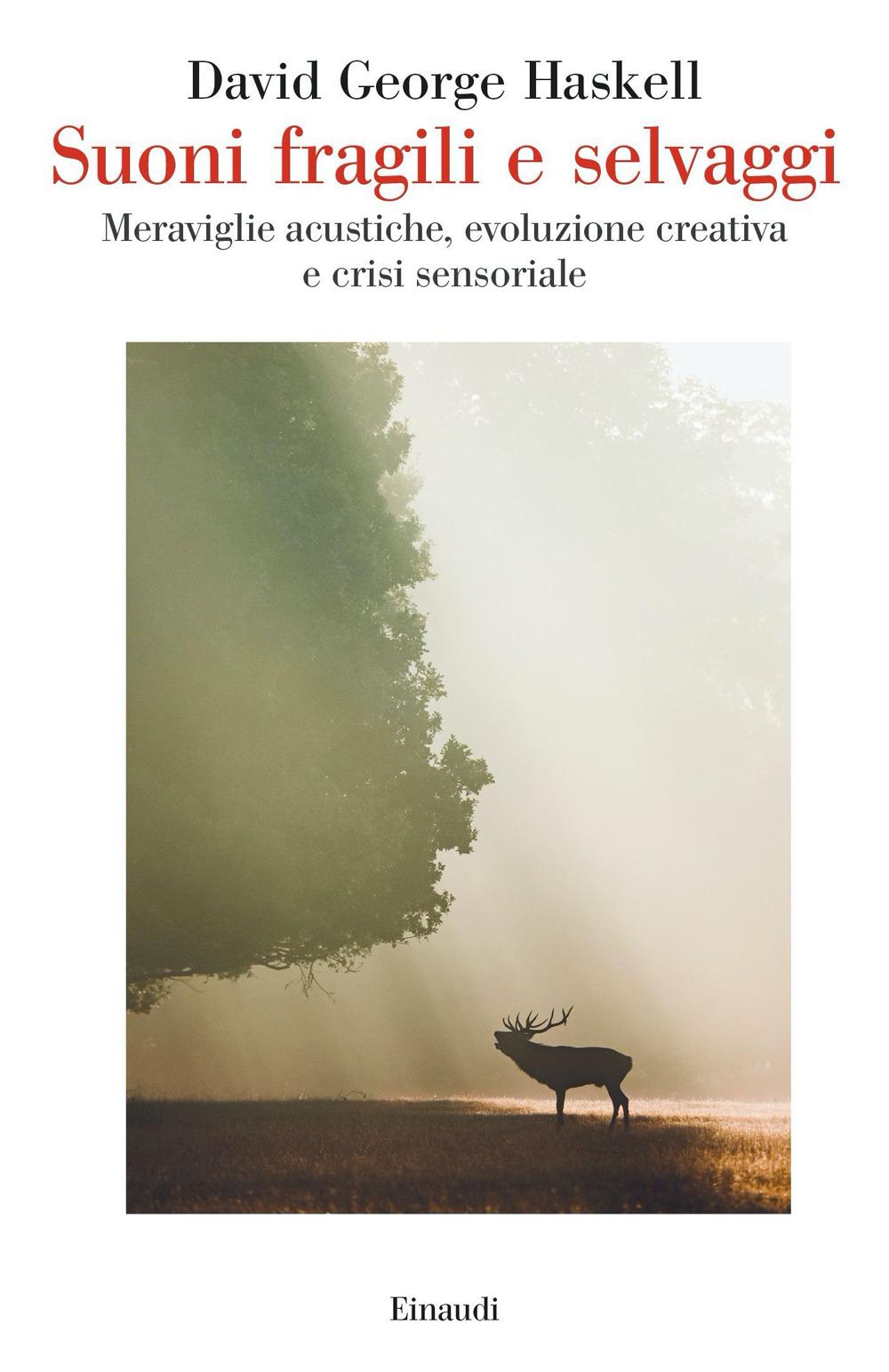 Vorderes Coverbild Suoni fragili e selvaggi. Meraviglie acustiche, evoluzione creativa e crisi sensoriale
