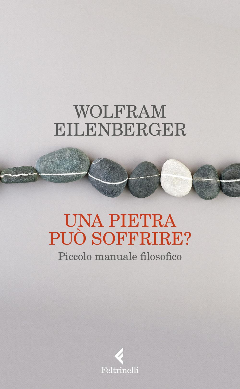 Vorderes Coverbild Una pietra può soffrire? Piccolo manuale filosofico