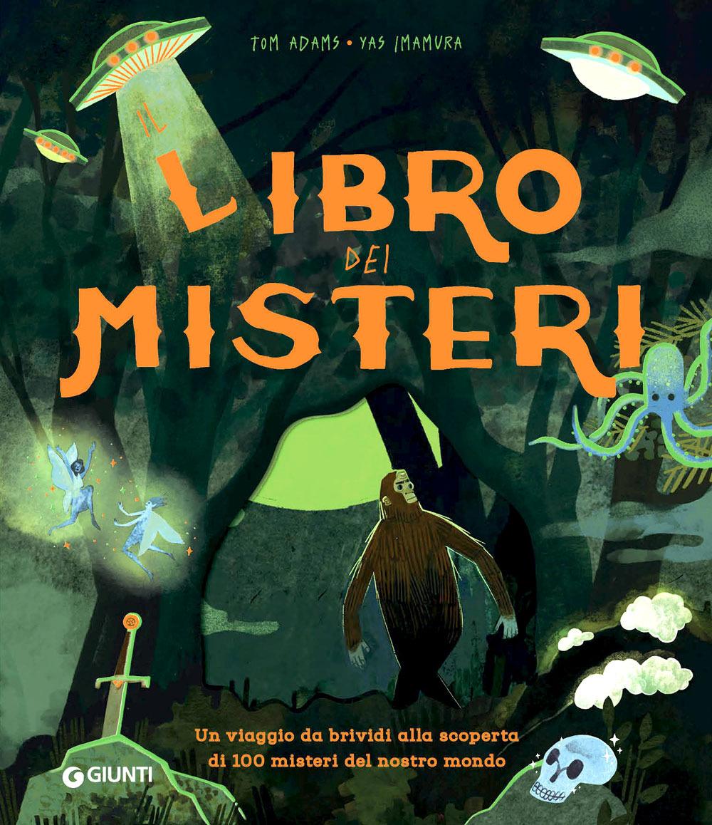 Vorderes Coverbild Il libro dei misteri