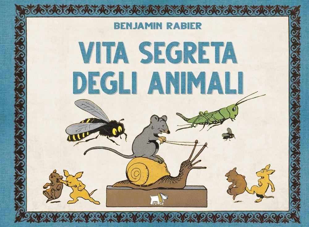 Vorderes Coverbild Vita segreta degli animali