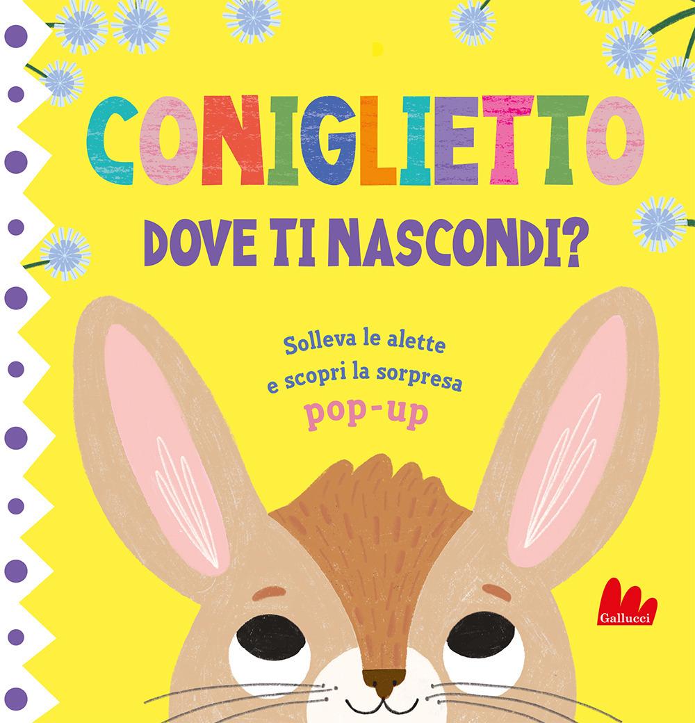 Vorderes Coverbild Coniglietto. Dove ti nascondi?