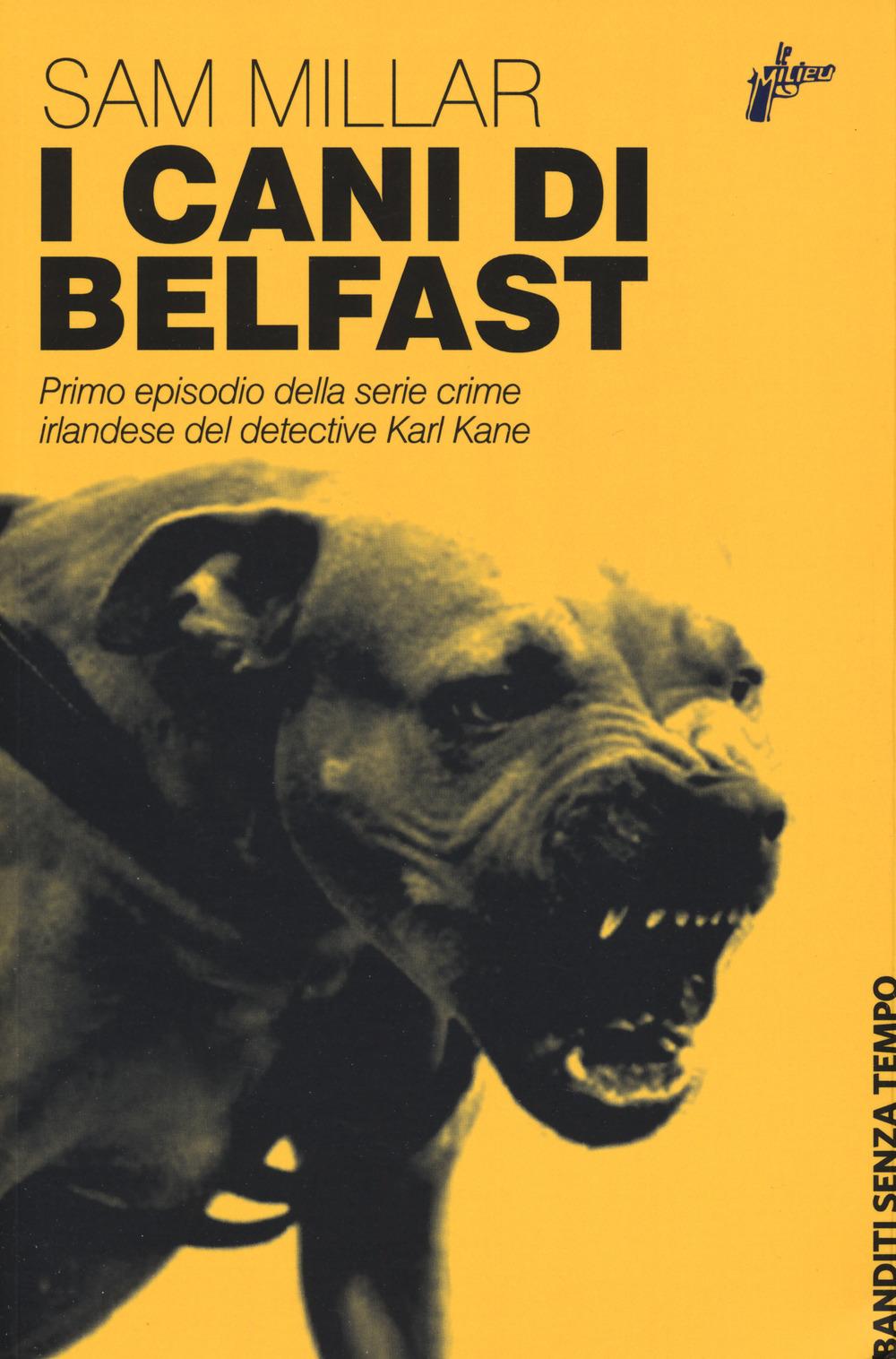 Vorderes Coverbild I cani di Belfast