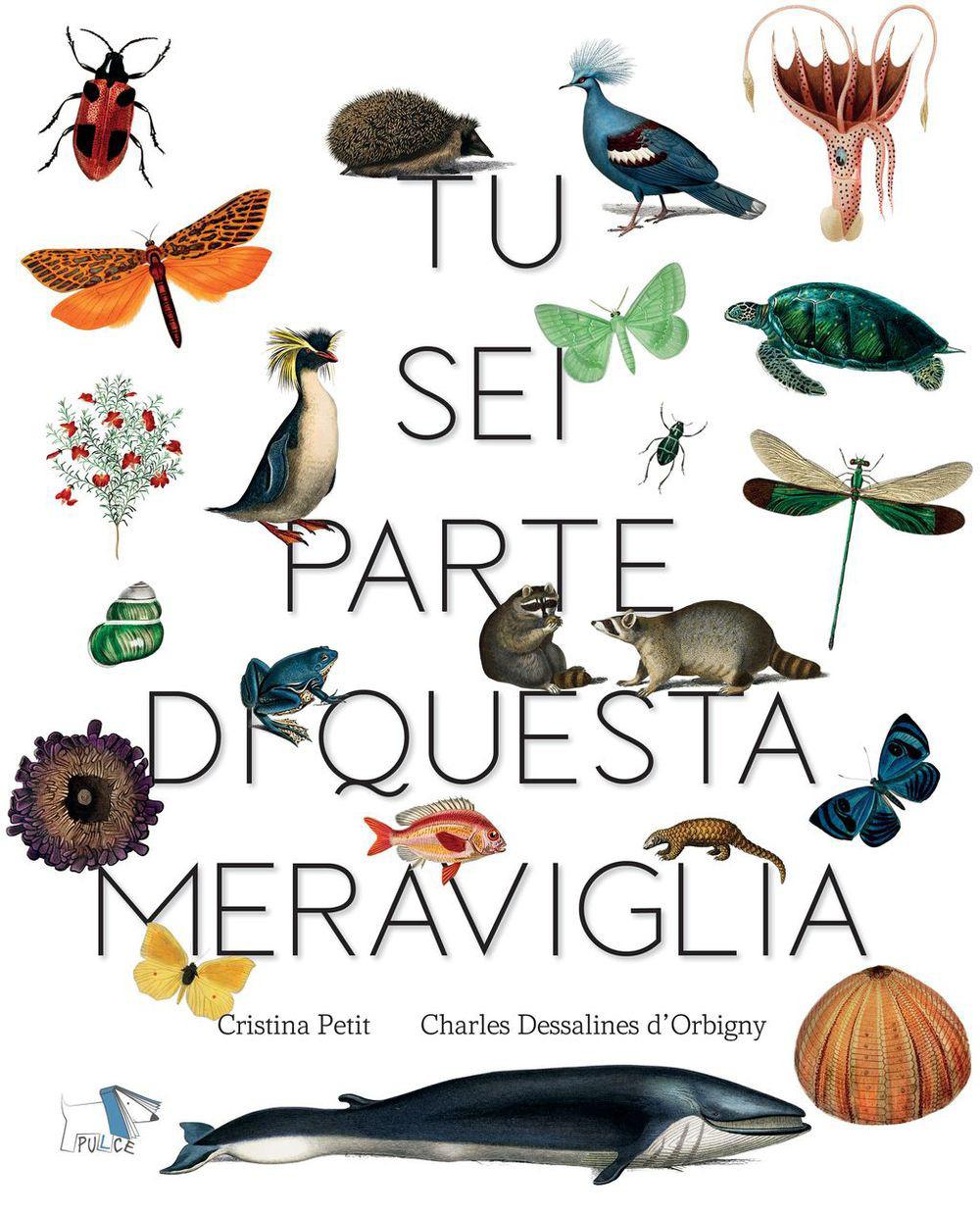 Vorderes Coverbild Tu sei parte di questa meraviglia
