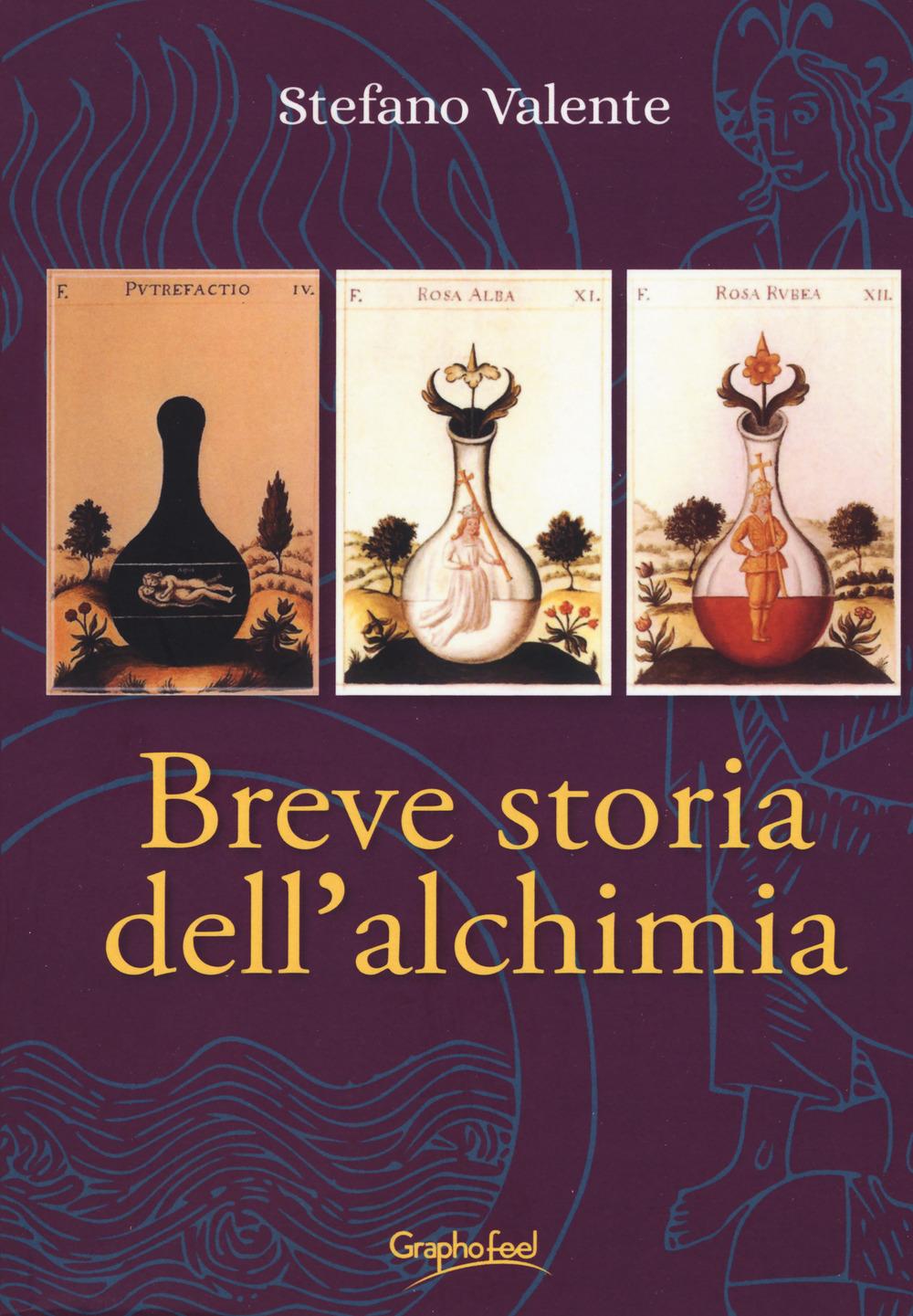 Vorderes Coverbild Breve storia dell'alchimia. Dagli albori del pensiero junghiano: una sintesi storica