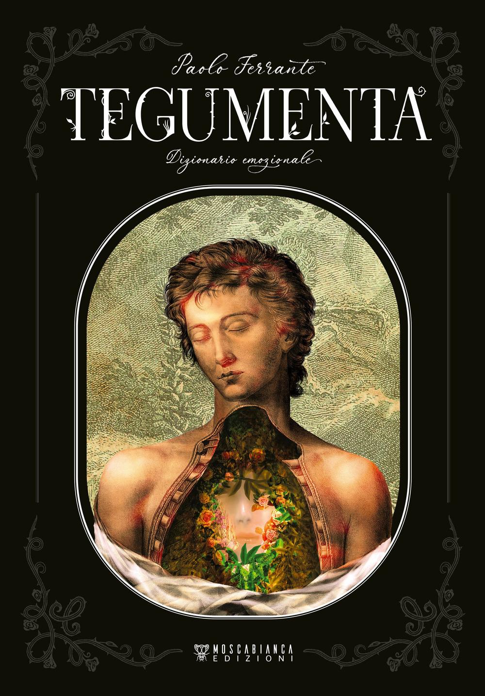 Vorderes Coverbild Tegumenta. Dizionario emozionale
