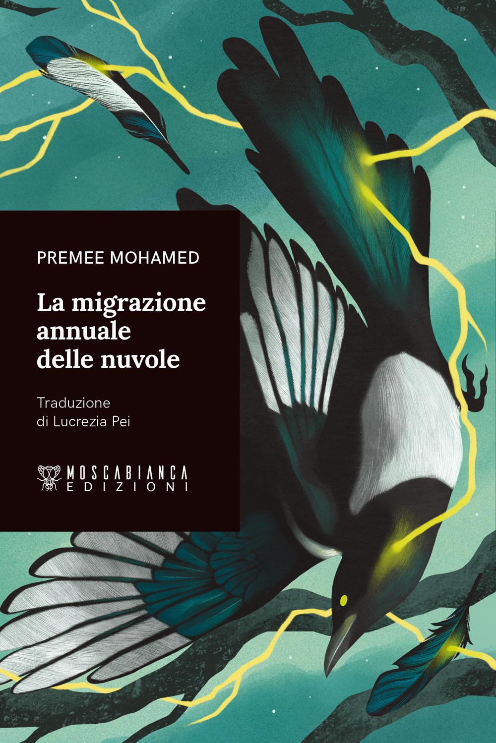 Vorderes Coverbild La migrazione annuale delle nuvole