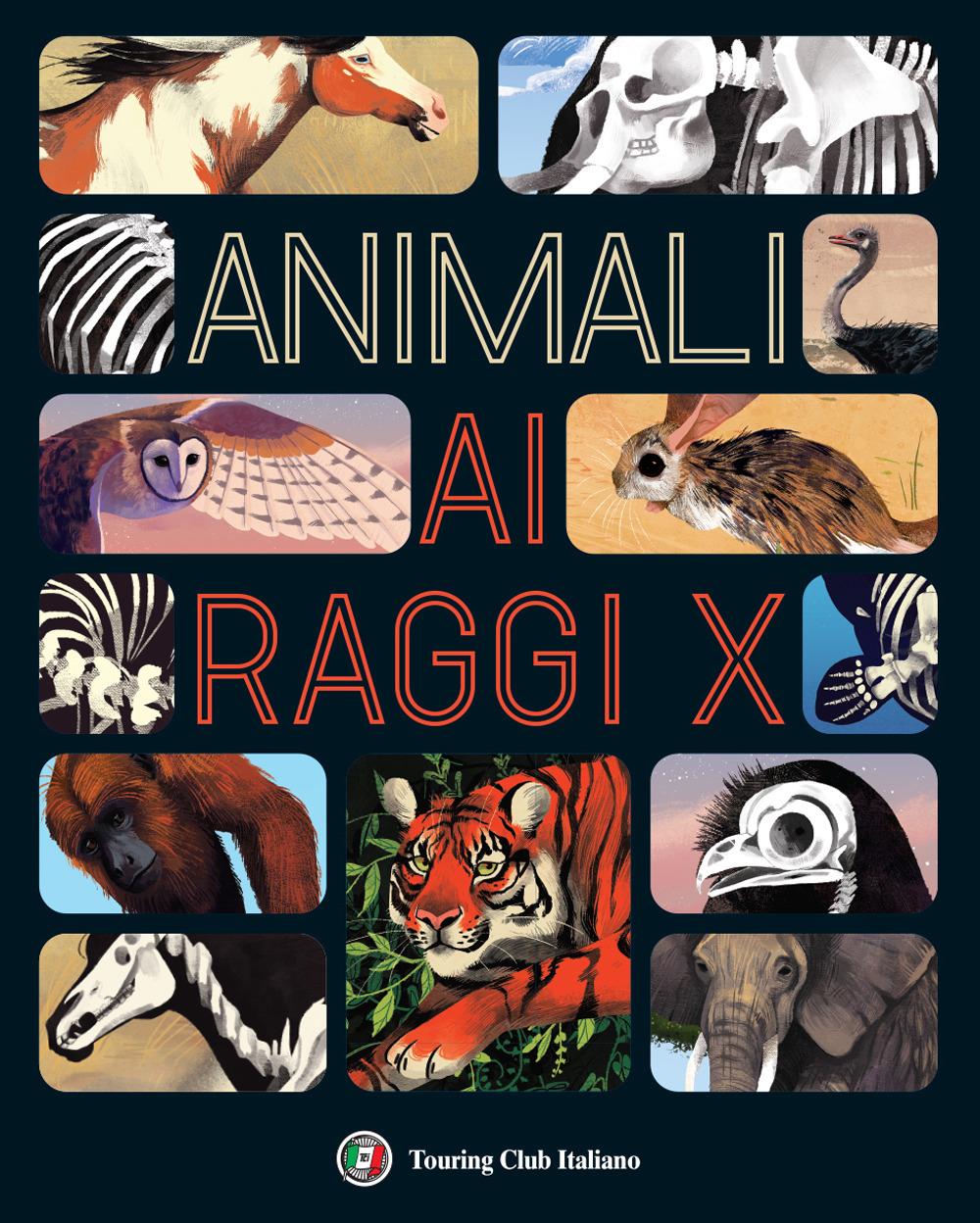 Vorderes Coverbild Animali ai raggi X