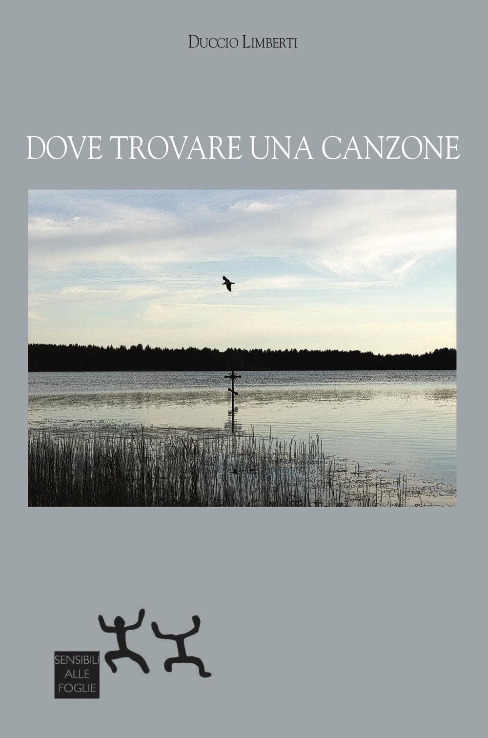 Vorderes Coverbild Dove trovare una canzone