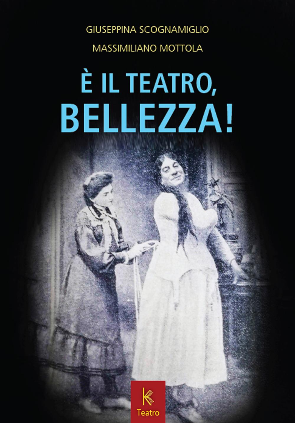 Vorderes Coverbild È il teatro, bellezza!