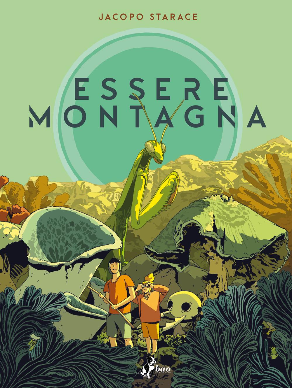 Vorderes Coverbild Essere montagna