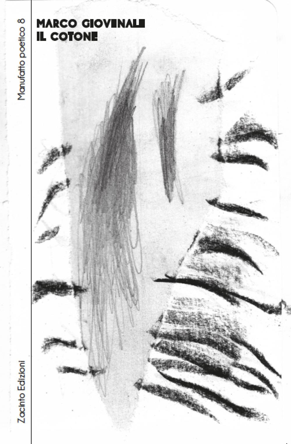 Vorderes Coverbild Il cotone