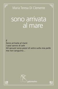 Vorderes Coverbild Sono arrivata al mare