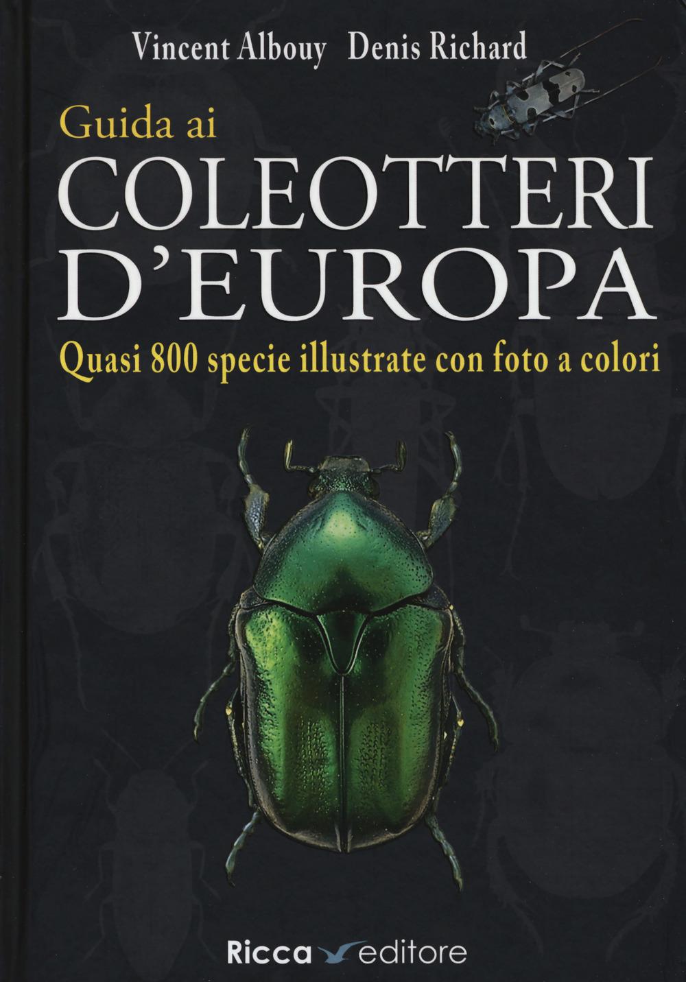 Vorderes Coverbild Guida ai coleotteri d'Europa