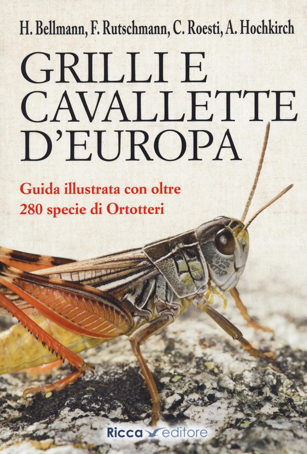 Vorderes Coverbild Grilli e cavallette d'Europa