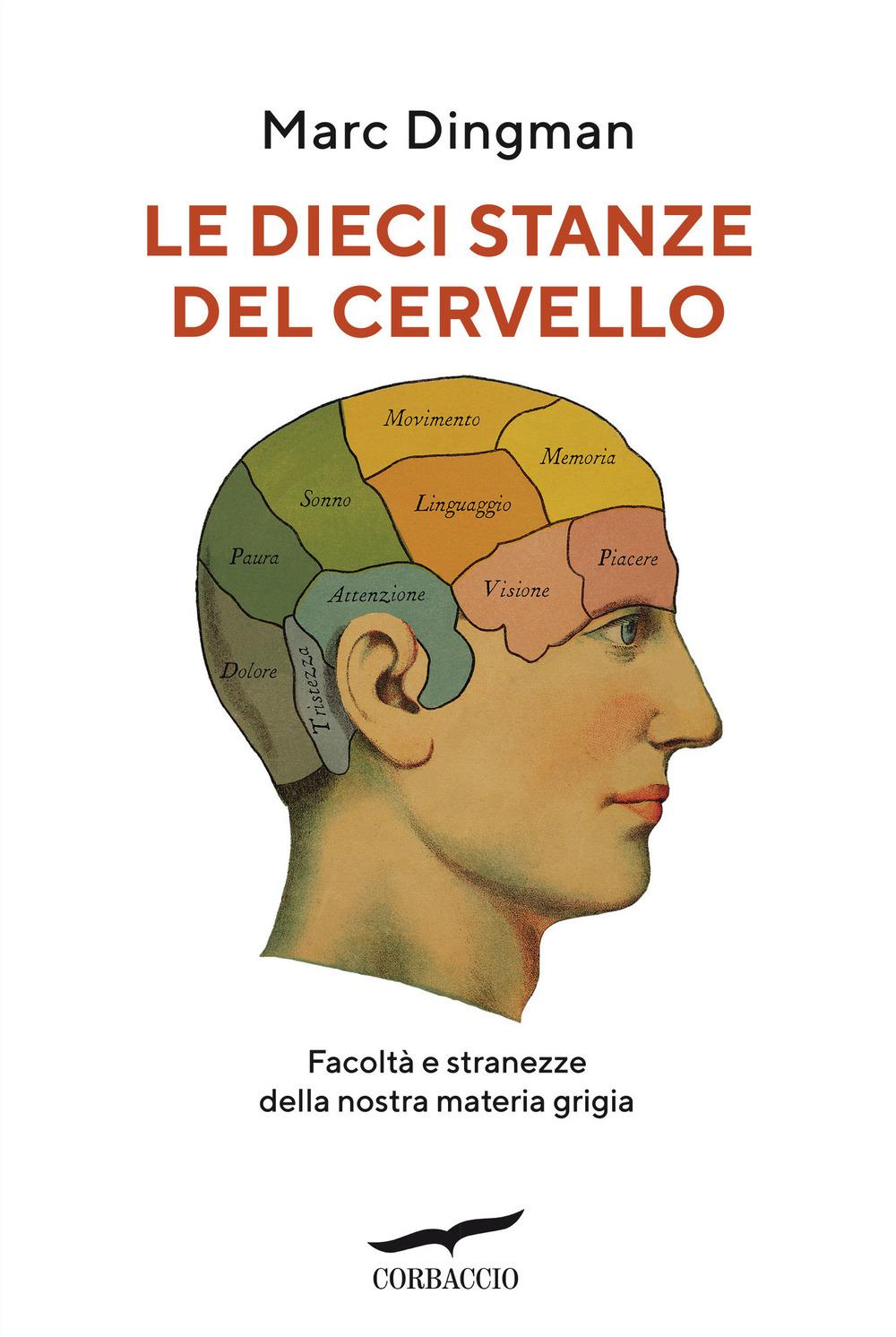 Vorderes Coverbild Le dieci stanze del cervello. Facoltà e stranezze della nostra materia grigia