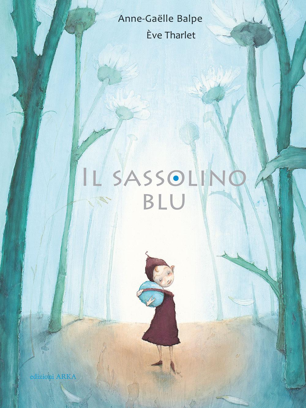 Vorderes Coverbild Il sassolino blu
