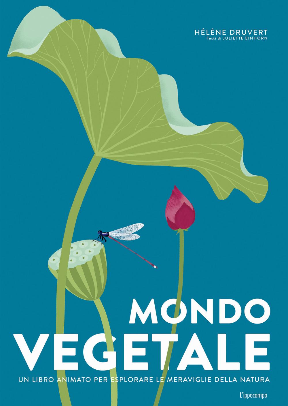 Vorderes Coverbild Mondo vegetale. Un libro animato per esplorare le meraviglie della natura