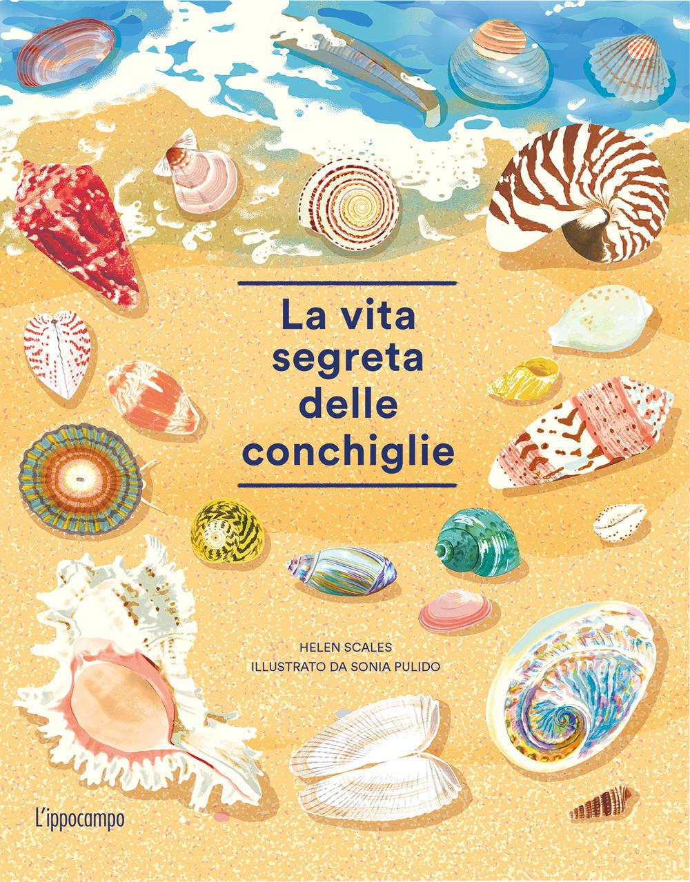 Vorderes Coverbild La vita segreta delle conchiglie