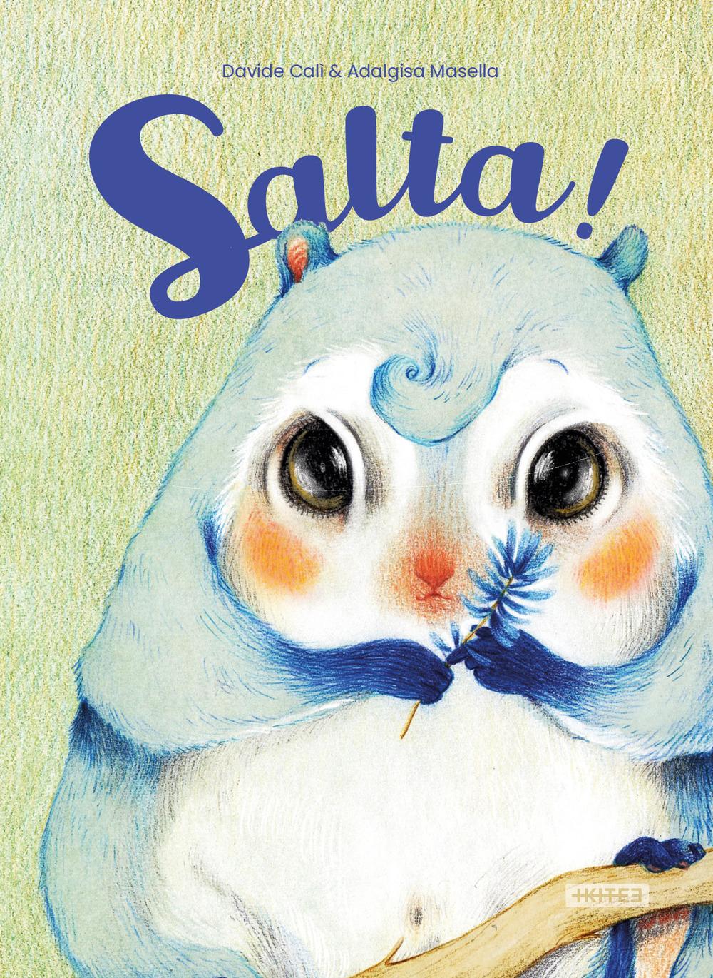 Vorderes Coverbild Salta!