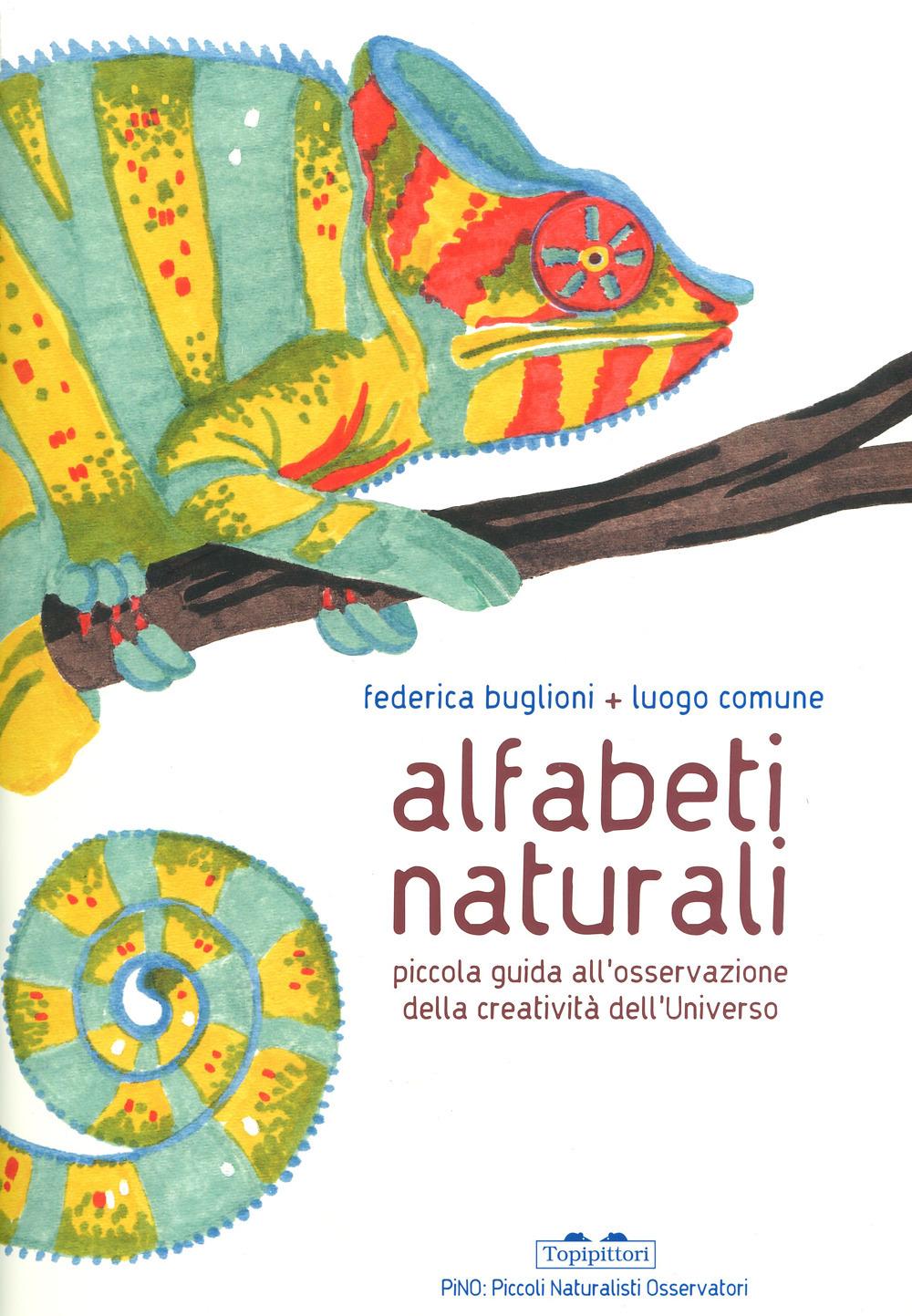 Vorderes Coverbild Alfabeti naturali. Piccola guida all'osservazione della creatività dell'universo