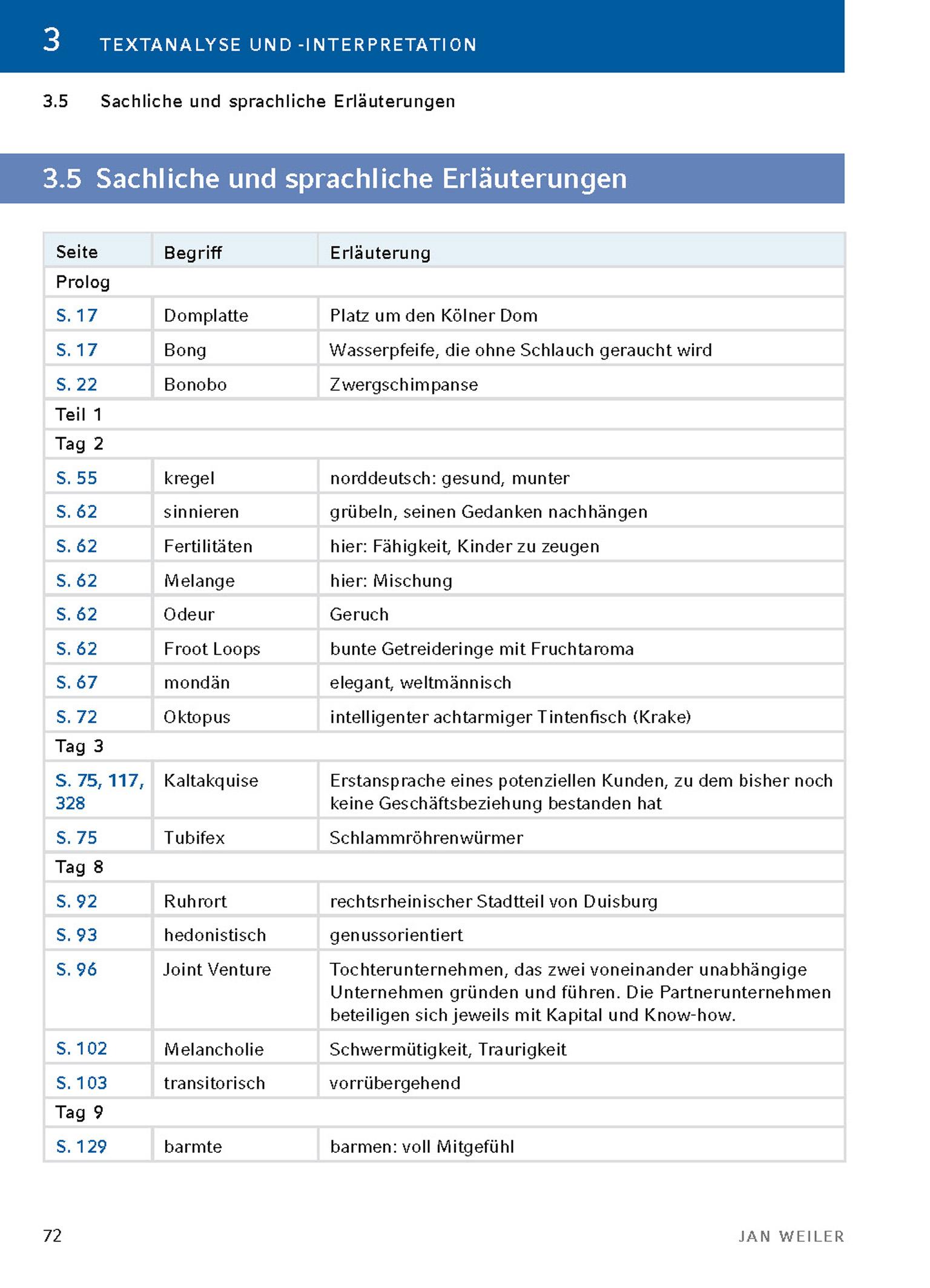 Beispielinhalt (Bild) Der Markisenmann von Jan Weiler - Textanalyse und Interpretation