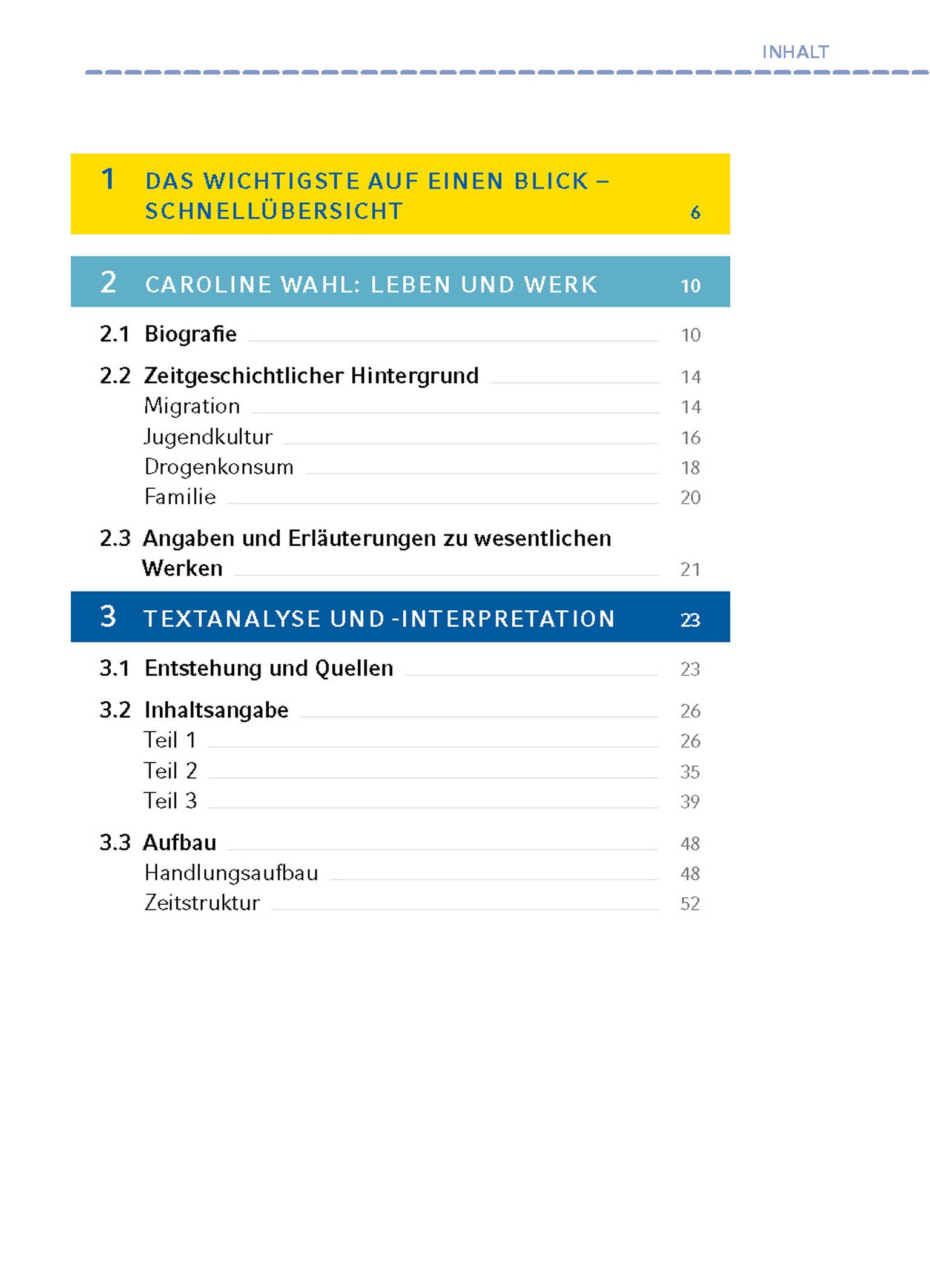 Beispielinhalt (Bild) 22 Bahnen von Caroline Wahl - Textanalyse und Interpretation