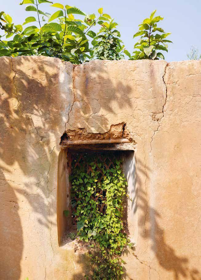 Beispielinhalt (Bild) Architecture Is a Tool to Improve Lives