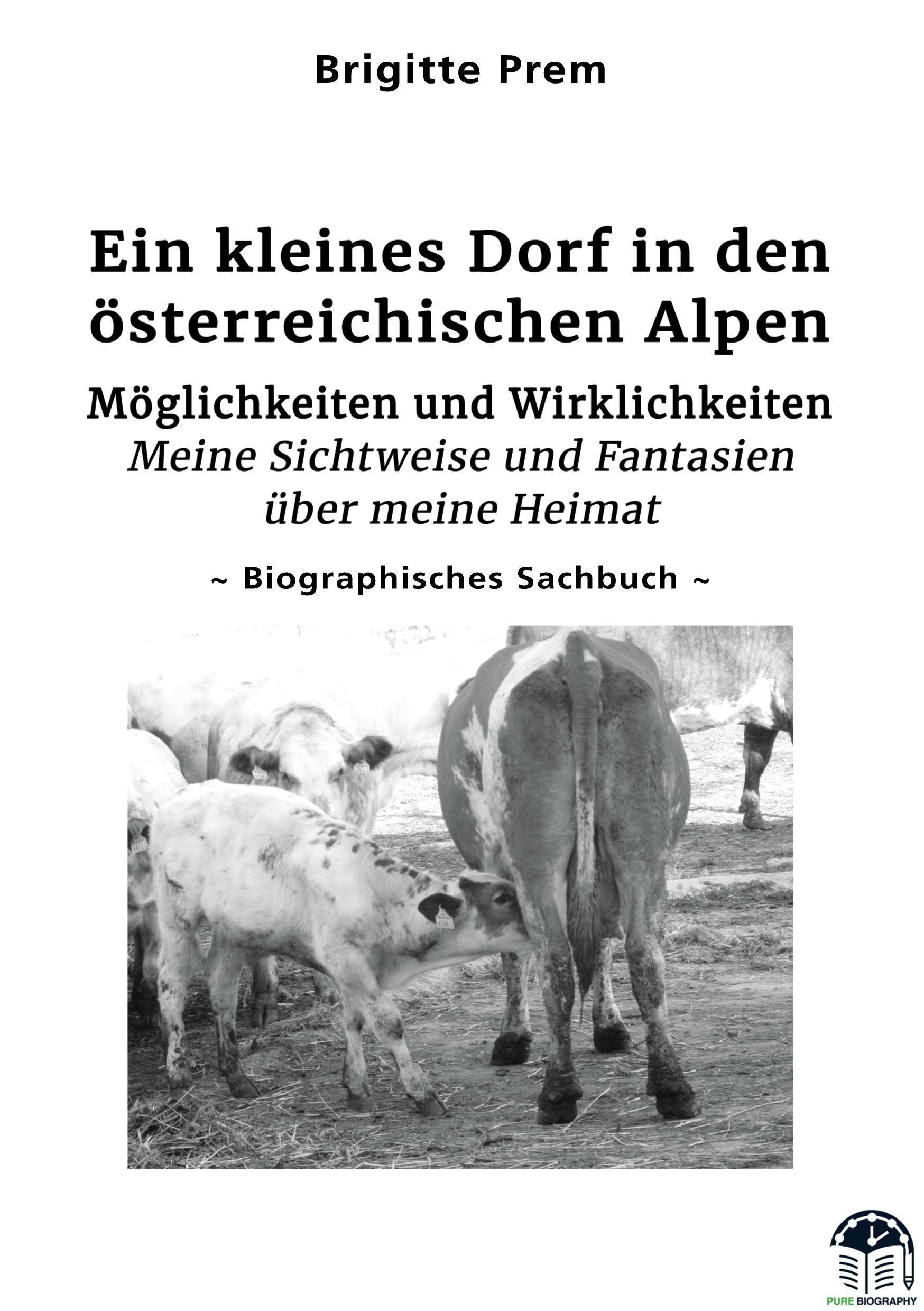 Vorderes Coverbild Ein kleines Dorf in den österreichischen Alpen