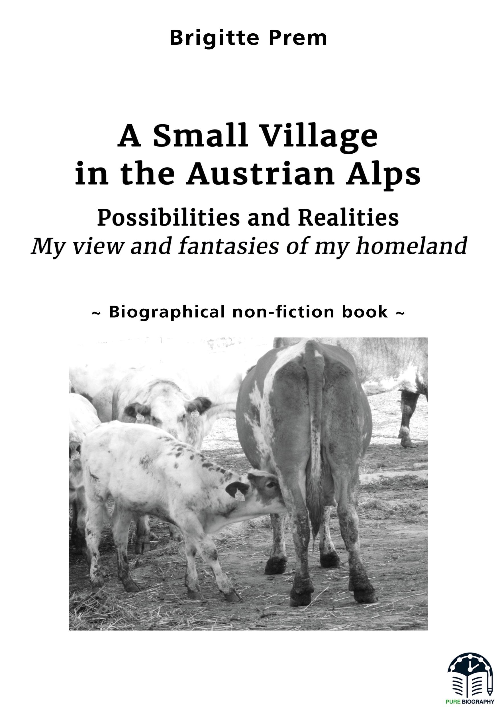 Vorderes Coverbild A Small Village in the Austrian Alps